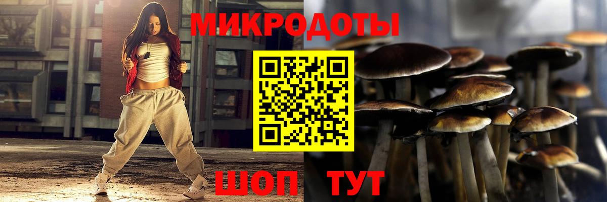 Дербент  Галлюциногенные грибы GOLDEN TEACHER  Вход с VPN 